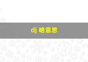 dj 啥意思